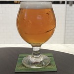 アンテナ アメリカ - ラグニタスIPA (12oz)