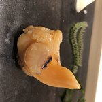 不動前 すし 岩澤 - 