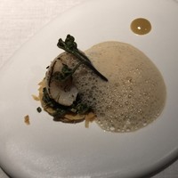 リョウリヤ ステファン パンテル - 