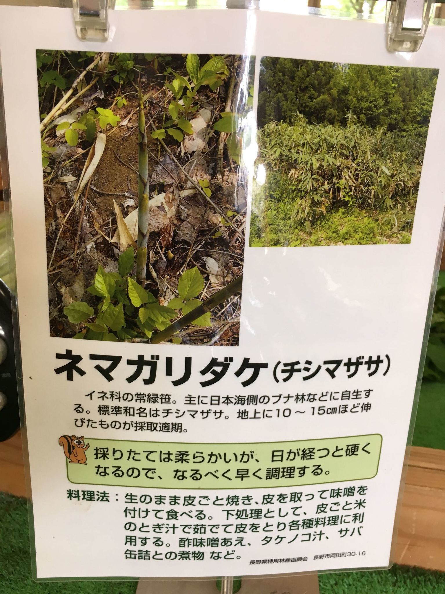 お百SHOP 小布施店 name=