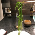 イチリン ハナレ - ツァーレンサイ長いんです