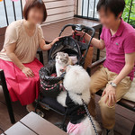 リストランテ ピッツェリア ジャンカルロ トウキョウ - ミーちゃん〜こんにちは