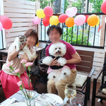 リストランテ ピッツェリア ジャンカルロ トウキョウ - 母の日のカーネーション