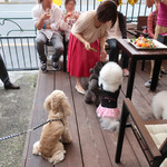 リストランテ ピッツェリア ジャンカルロ トウキョウ - 仲良く順番に！！