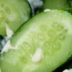 宮内商店 - 親父さんの自家菜園のキュウリ！！