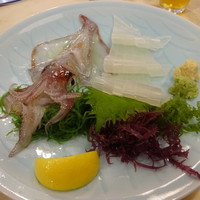 稚加榮 本店 - 活イカ（中）
