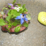 ラチュレ - 謎肉のタルタル