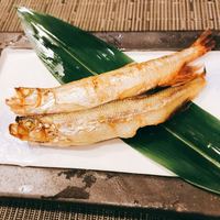 東鮨 新店 - 