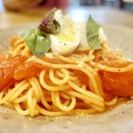 プルスト カフェ - 本日のパスタ 上賀茂トマトのスパゲティ 水牛モッツェレラチーズのせ