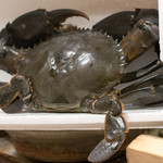 うを徳 - 2018.5 喜界島ドウマンガニ