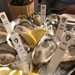 オイスターラバーズ - 