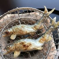 京都 吉兆 名古屋店 - 