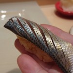 寿司割烹 魚紋 - 小鰭。リフト(^-^)/
      