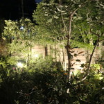 イチリン ハナレ - 帰る頃には・・・