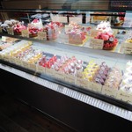 nino - 【2018.05】ショーケース