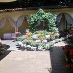 リストランテASO - 本当に暑い暑いお昼でした