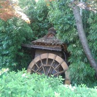 九つ井 本店 - 