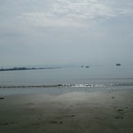 みんなのコーヒー - 垣生海岸の遠浅の砂浜