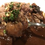 ワインレストラン ドミナス - ポルチーニの赤ワインカレー