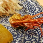 なか條 - ぶどう海老頭