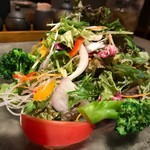 旬彩和遊 楠 - サラダ