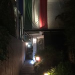 갈리나데이지 - 