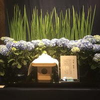 東京 芝 とうふ屋うかい - 