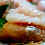 辻川権兵衛 - 