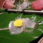 汀渚 ばさら邸 - 　　　(鯒のお造り)