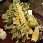 季節割烹 丸十 - 春野菜の天ぷらも軽くて美味しい♪