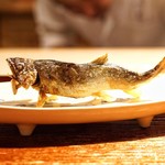 富小路 やま岸 - ☆美山の鮎