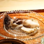 富小路 やま岸 - ☆トリ貝