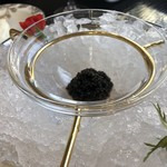 MAISON DE CAVIAR BELUGA - 