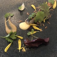 コンヴィヴィアリテ - 