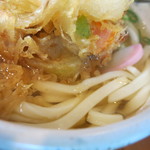 Sanuki Udon Nanatsuya - 麺アップ