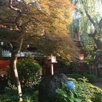 とうふ屋うかい 鷺沼店 - 