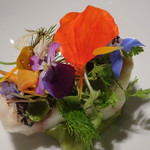 アコルドゥ - 魚のコンフィタード アヴォカドと若いハーブ　チーズのフォン