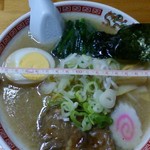 嵐 - 味噌ラーメン650円　丼の直径20cm位