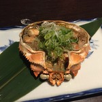 Sushi Izakaya Kozaru - かに甲羅焼き❣️