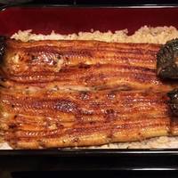 うなぎ割烹 大江戸 - 