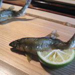 光安 - 安曇川の鮎