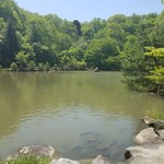 こびそ - お店の前に広がる根池