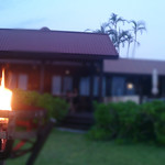 ビーチサイド - 