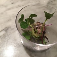 フレンチ串揚げ BEIGNET 大阪･ウメシバ - 初鰹の瞬間燻製 オニオンスライスのかわりにハーブで