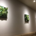 ドトールコーヒーショップ 日本橋本石町店