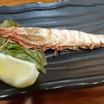 串焼きバル TERUSAN - 天然海老