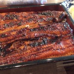 Unagi Kamogawa - 