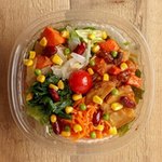 シナグロ ORGANIC SALAD & CAFE - オールベジタブル