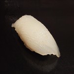 鮨 竜介 - アオリイカ