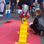 鮨 竜介 - 太郎次郎